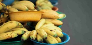 Bucce di banana, non buttarle mai più: sia in casa che in giardino ti faranno risparmiare davvero Come usare le bucce di banana - RicettaSprint