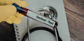 Cortisolo in tavola, abbassalo con questi cibi (senza farti prendere dal panico) Cosa mangiare per abbassare il cortisolo - RicettaSprint