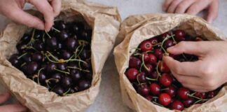 Ciliegie e amarene, tutti ignorano la differenza ma è sostanziale Differenza tra ciliegie e amarene - RicettaSprint