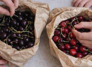 Differenza tra ciliegie e amarene - RicettaSprint