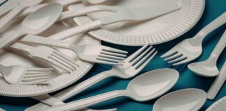 Dove si buttano i piatti in plastica - RicettaSprint