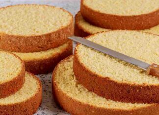 Pan di Spagna senza uova - RicettaSprint