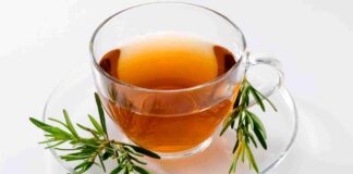 Tisana al rosmarino, il rimedio della memoria che già hai in cucina Tisana al rosmarino quando va bevuta - RicettaSprint