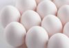 dieta delle uova