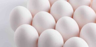 dieta delle uova