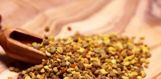 Polline d’api un tesoro naturale da assumere tutti i giorni, come lo troviamo e come si assume polline d'api