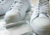 Cattivo odore nelle scarpe, ti basta una fogliolina di alloro Cattivo odore scarpe come rimediare - RicettaSprint