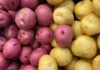 Cipolle e patate come conservarle - RicettaSprint