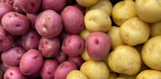 Cipolle e patate come conservarle - RicettaSprint