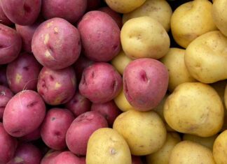 Cipolle e patate come conservarle - RicettaSprint