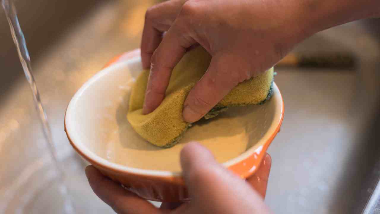 Come lavare le ciotole - RicettaSprint