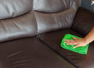 Come togliere le pulci da divano - RicettaSprint