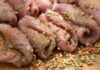 Involtini di lonza sottilissima con formaggio - RicettaSprint