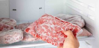 Muffa nel freezer - RicettaSprint
