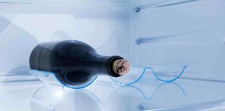 Quale vino possiamo mettere in frigo - RicettaSprint