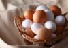 Le uova si lavano o no? La risposta che nessuno ti ha dato Vanno lavate le uova - RicettaSprint