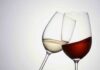 Vino scadenza come capire quando andato a male - RicettaSprint