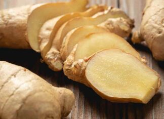 Zenzero durante la dieta, a cosa fa bene davvero? Conviene assumerlo nei piatti? Zenzero durante la dieta - RicettaSprint
