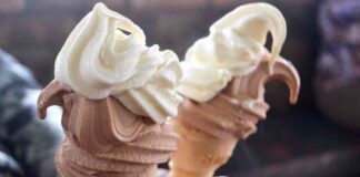 gelato alla soia
