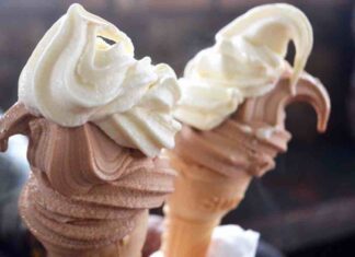gelato alla soia