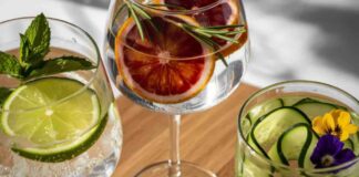gin tonic come al bar