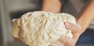 pizza a lunga lievitazione