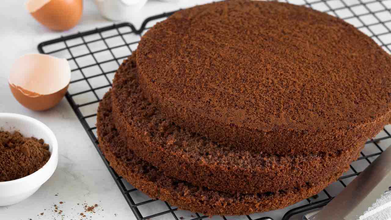 pan di spagna al cacao