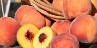 Come conservare le pesche - RicettaSprint