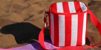 Come lavare borsa frigo - RicettaSprint