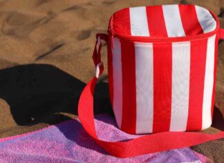 Come lavare borsa frigo - RicettaSprint
