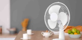 Ventilatore sporco? La polvere che vedi è solo la punta dell’iceberg Come pulire il ventilatore - RicettaSprint