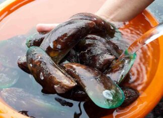 Come vanno pulite le cozze di volta in volta? Attenzione a non commettere questo errore Come vanno pulite le cozze - RicettaSprint