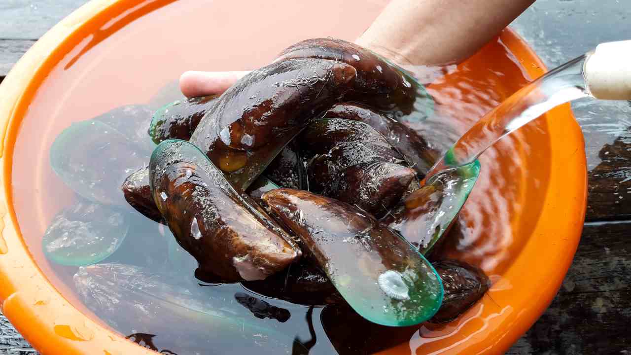 Come vanno pulite le cozze - RicettaSprint