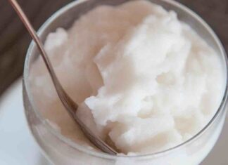 Granita alla mandorla con il Bimby- RicettaSprint