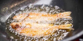Frittura perfetta? Dipende dall’olio: non tutto si può riutilizzare Quante volte possiamo usare lo stesso olio per friggere - RicettaSprint