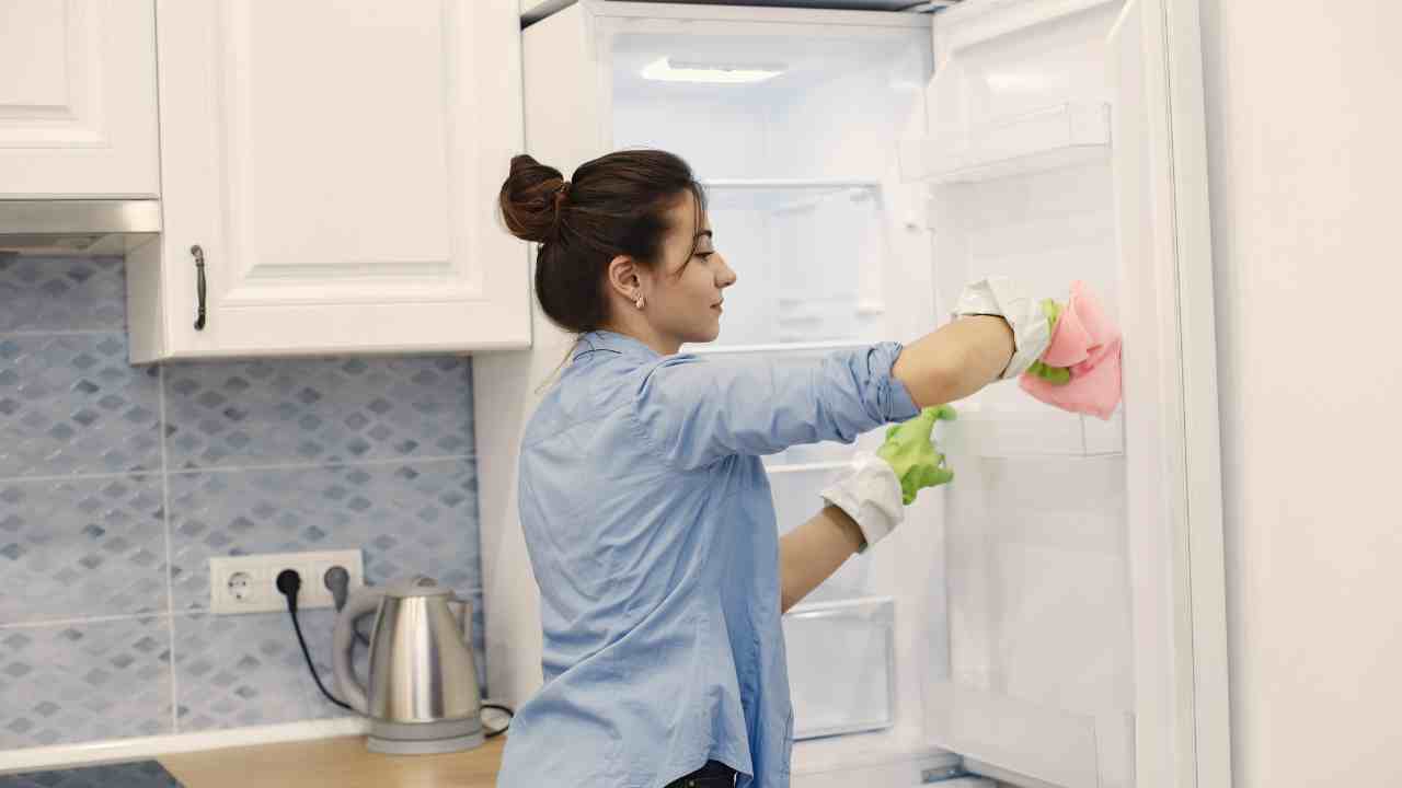 Togliere muffa dal frigo - RicettaSprint