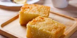 torta al cocco umida