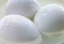 Acqua mozzarelle - RicettaSprint