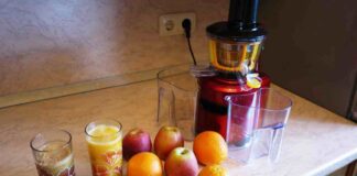 Bere la frutta invece di mangiarla: il vantaggio è la praticità, lo scotto da pagare è nella fibra Centrifuga di frutta quante berne - RicettaSprint