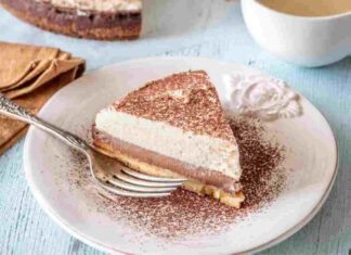 Cheesecake senza lattosio irresistibile, la ricetta che spiazza sempre Cheesecake al caffè - RicettaSprint