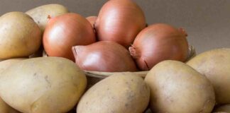 Patate e cipolle, in frigo o no? La risposta che (forse) non ti aspetti Come conservare patate e cipolle - RicettaSprint