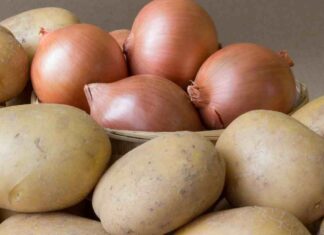 Come conservare patate e cipolle - RicettaSprint