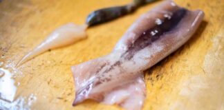 Addio calamari gommosi: il metodo infallibile per pulirli (e cucinarli) come un vero chef Come pulire il calamaro - RicettaSprint