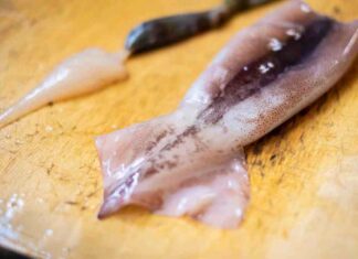 Addio calamari gommosi: il metodo infallibile per pulirli (e cucinarli) come un vero chef Come pulire il calamaro - RicettaSprint