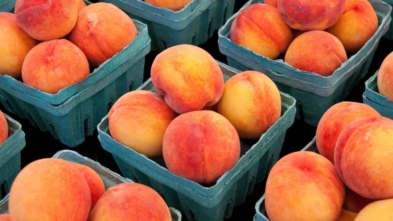 Come scegliere le pesche - RicettaSprint