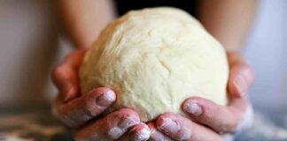 Come scongelare l'impasto per la pizza - RicettaSprint