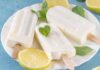 Ghiaccioli al limone, il piacere dell’estate che si scioglie in bocca Ghiaccioli al limone fatti in casa - RicettaSprint