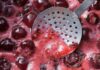Marmellata di ciliegie senza zucchero, fatta direttamente in microonde Marmellata di ciliegie senza zucchero - RicettaSprint