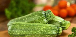 10 ricette con le zucchine per pranzi estivi super top zucchine ricette
