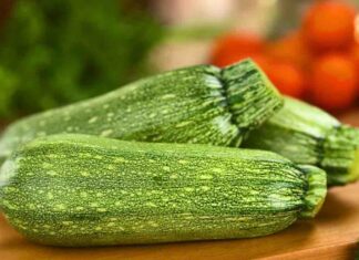 10 ricette con le zucchine per pranzi estivi super top zucchine ricette